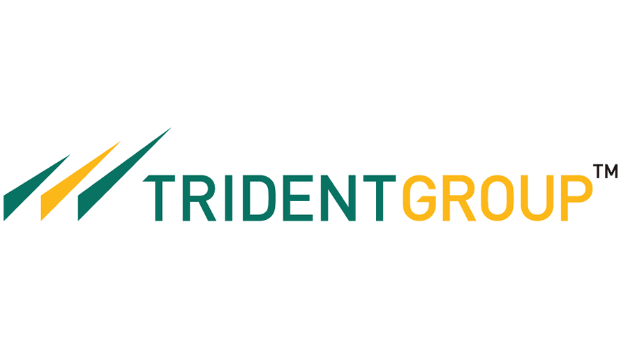 Fundamental Analysis of Trident Ltd | Future Multibagger Growth Stock