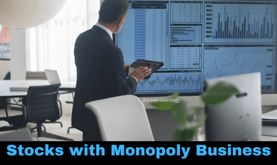 Top 7 Stocks with Monopoly businesses | Future Growth Stocks | Multibagger Stocks
