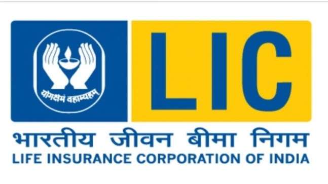 Fundamental Analysis of LIC | LIC IPO : 3 things to know before investing in IPO!